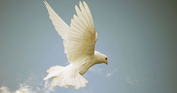 Хто такий Святий Дух і як він з’явився