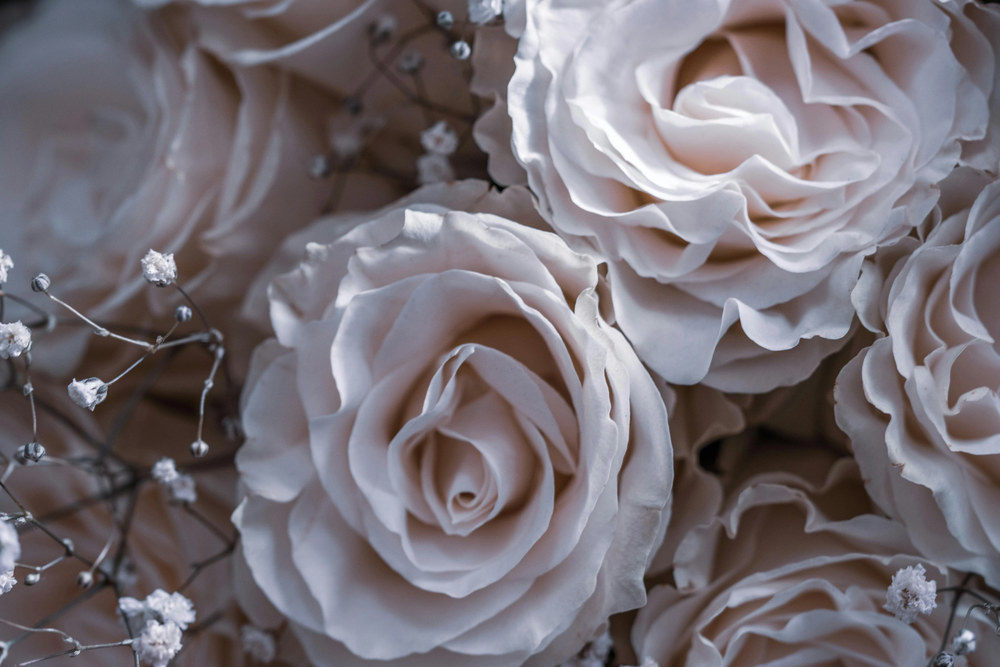 Цветочный этикет: когда монобукет лучше смешанного